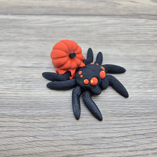 Pumpkin Spider- Black and Orange